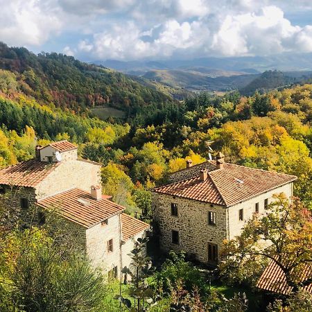 Caprese Michelangelo Bio Agriturismo Il Vigno מראה חיצוני תמונה