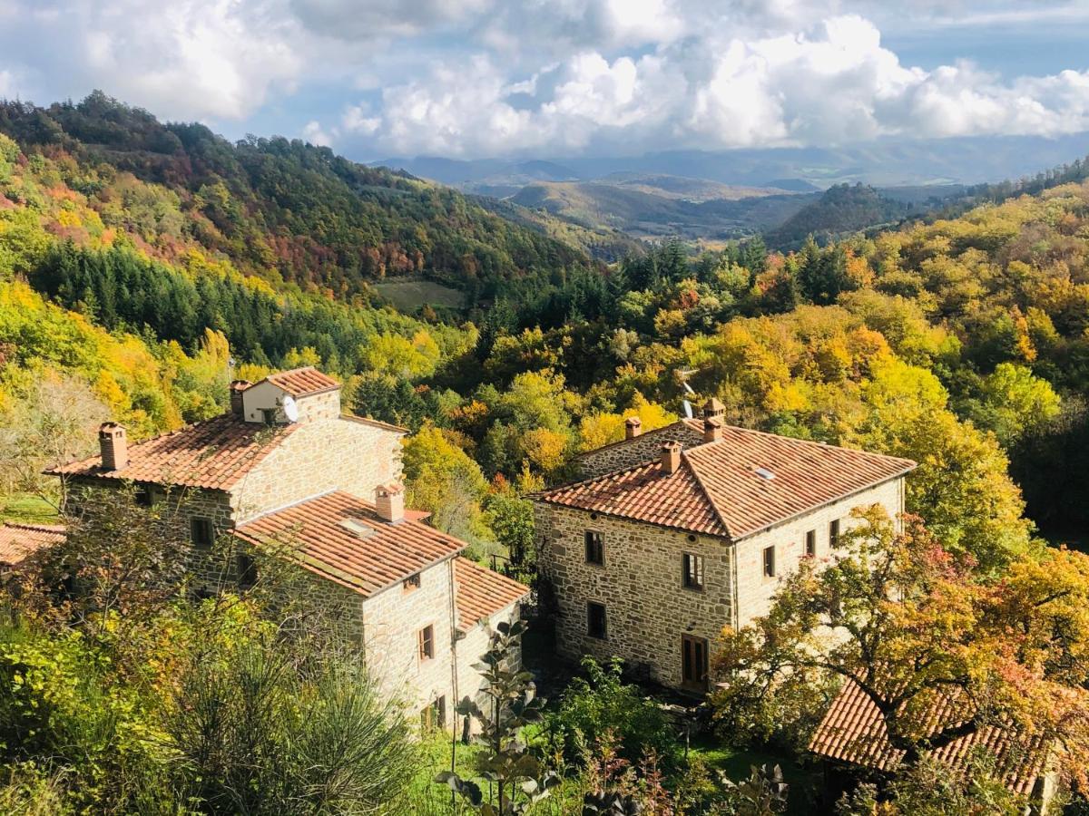 Caprese Michelangelo Bio Agriturismo Il Vigno מראה חיצוני תמונה