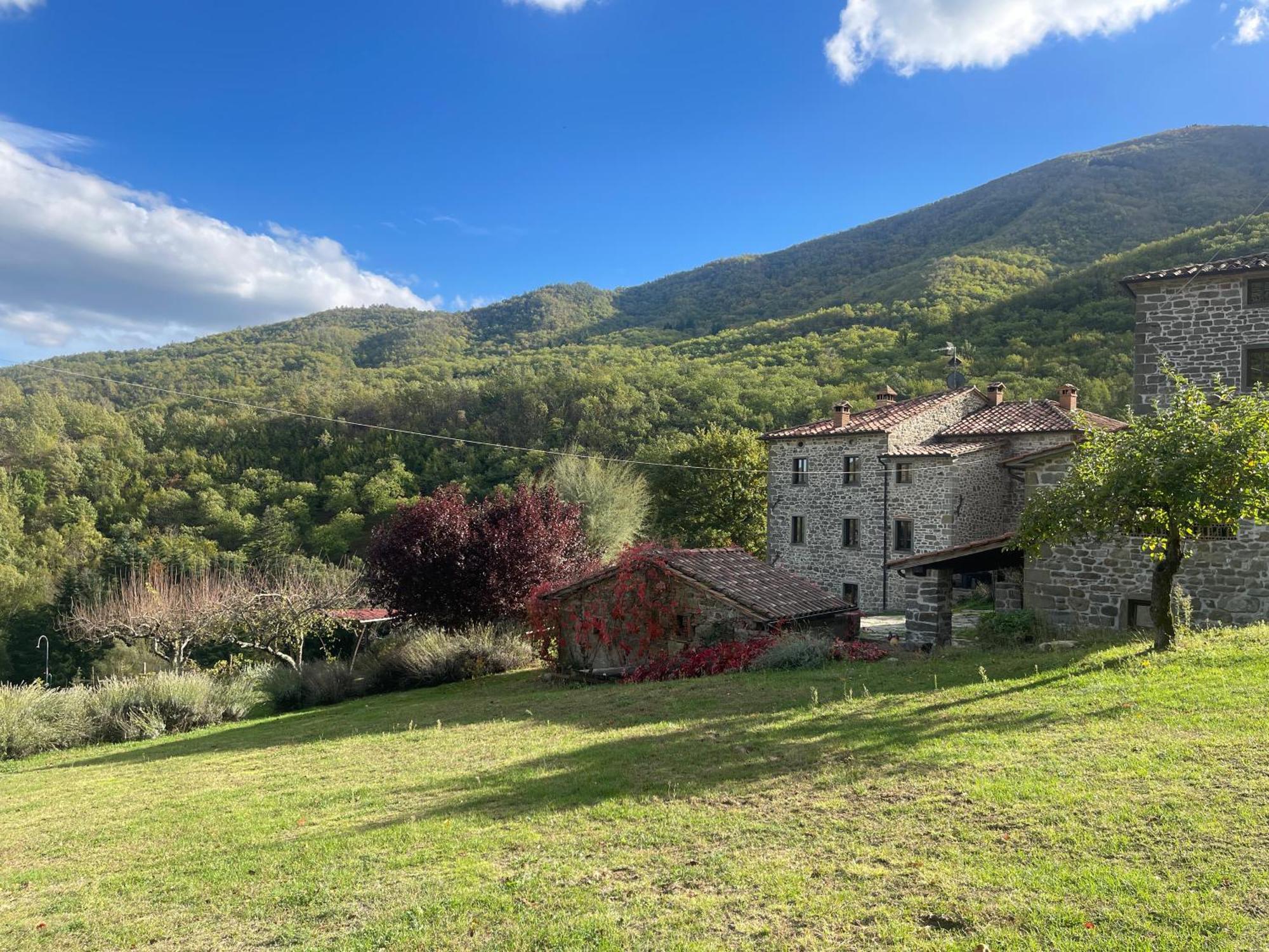 Caprese Michelangelo Bio Agriturismo Il Vigno מראה חיצוני תמונה