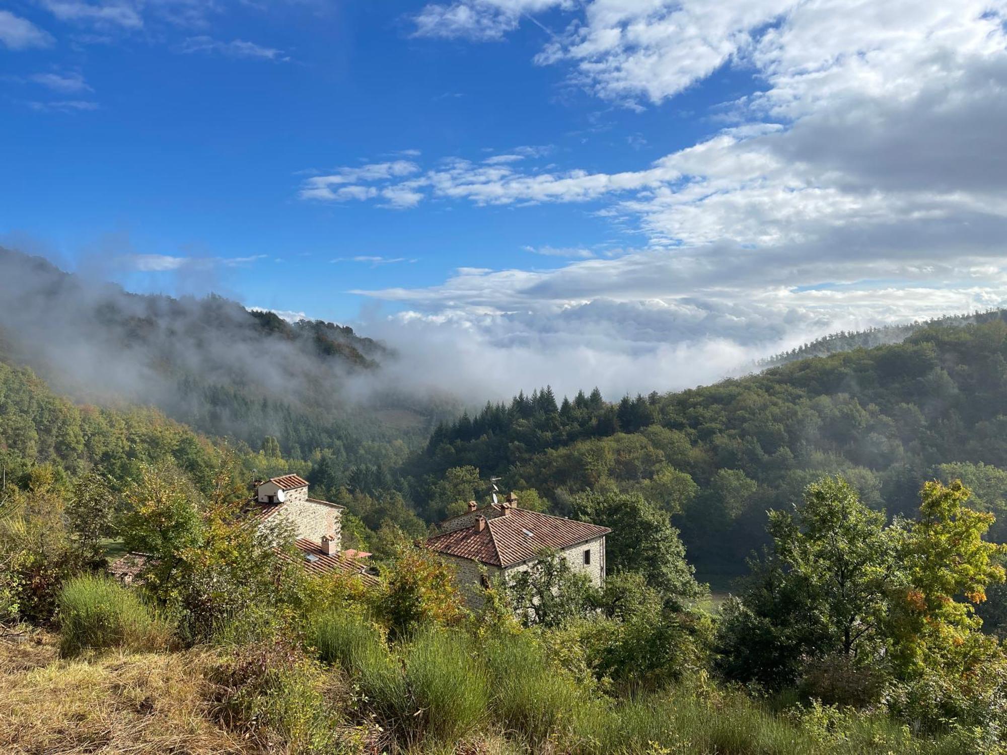 Caprese Michelangelo Bio Agriturismo Il Vigno מראה חיצוני תמונה