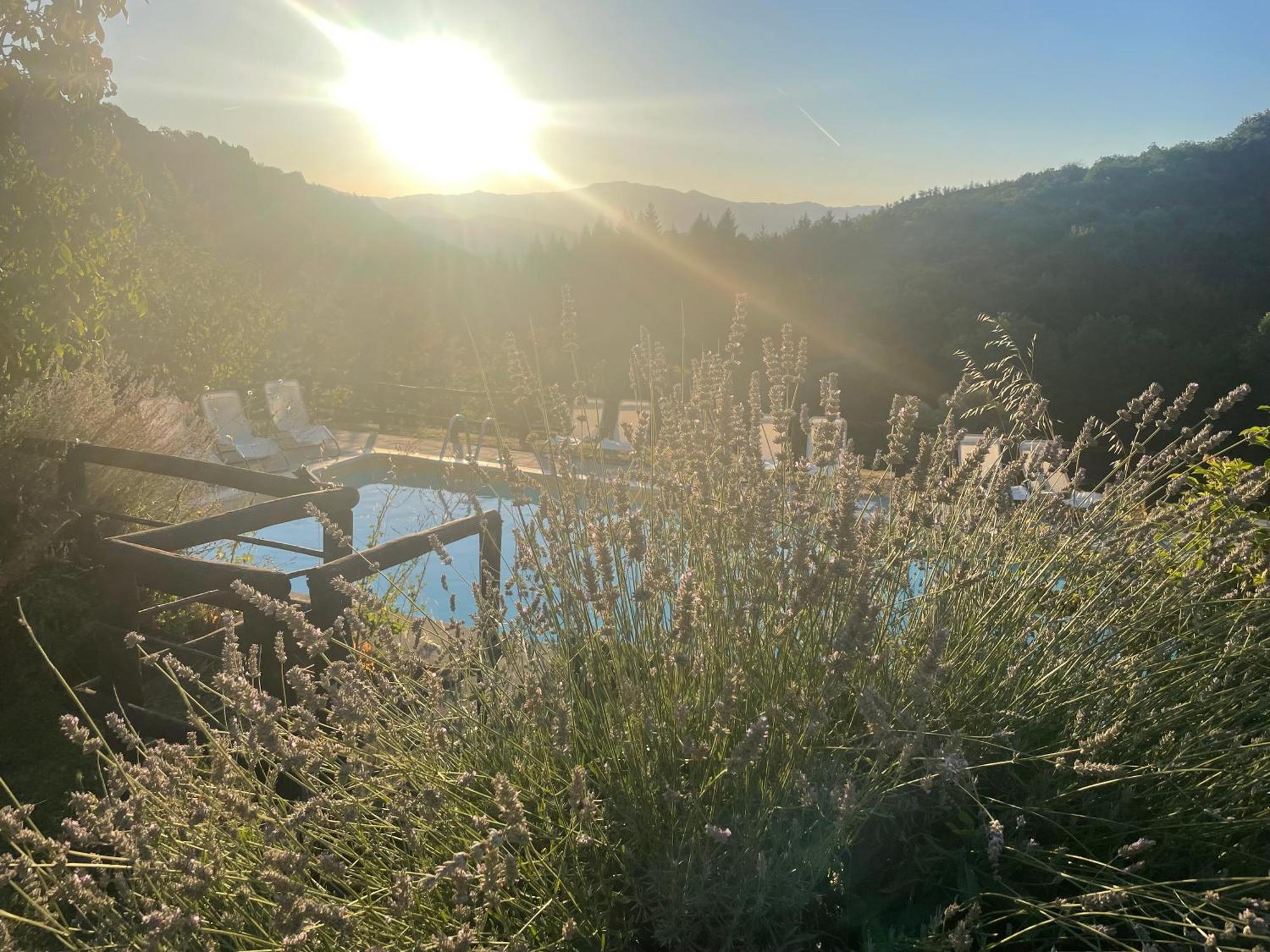 Caprese Michelangelo Bio Agriturismo Il Vigno מראה חיצוני תמונה