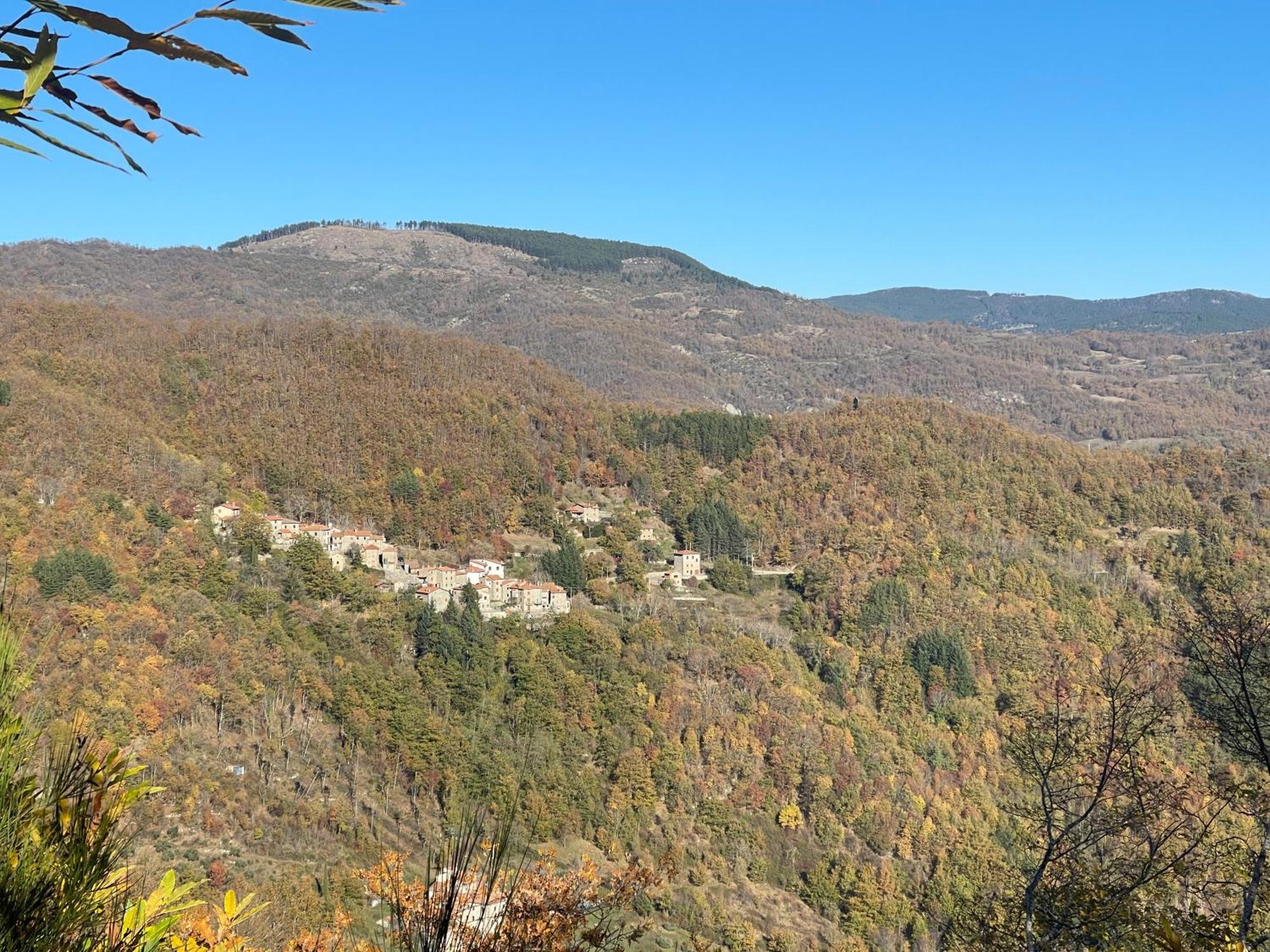 Caprese Michelangelo Bio Agriturismo Il Vigno מראה חיצוני תמונה
