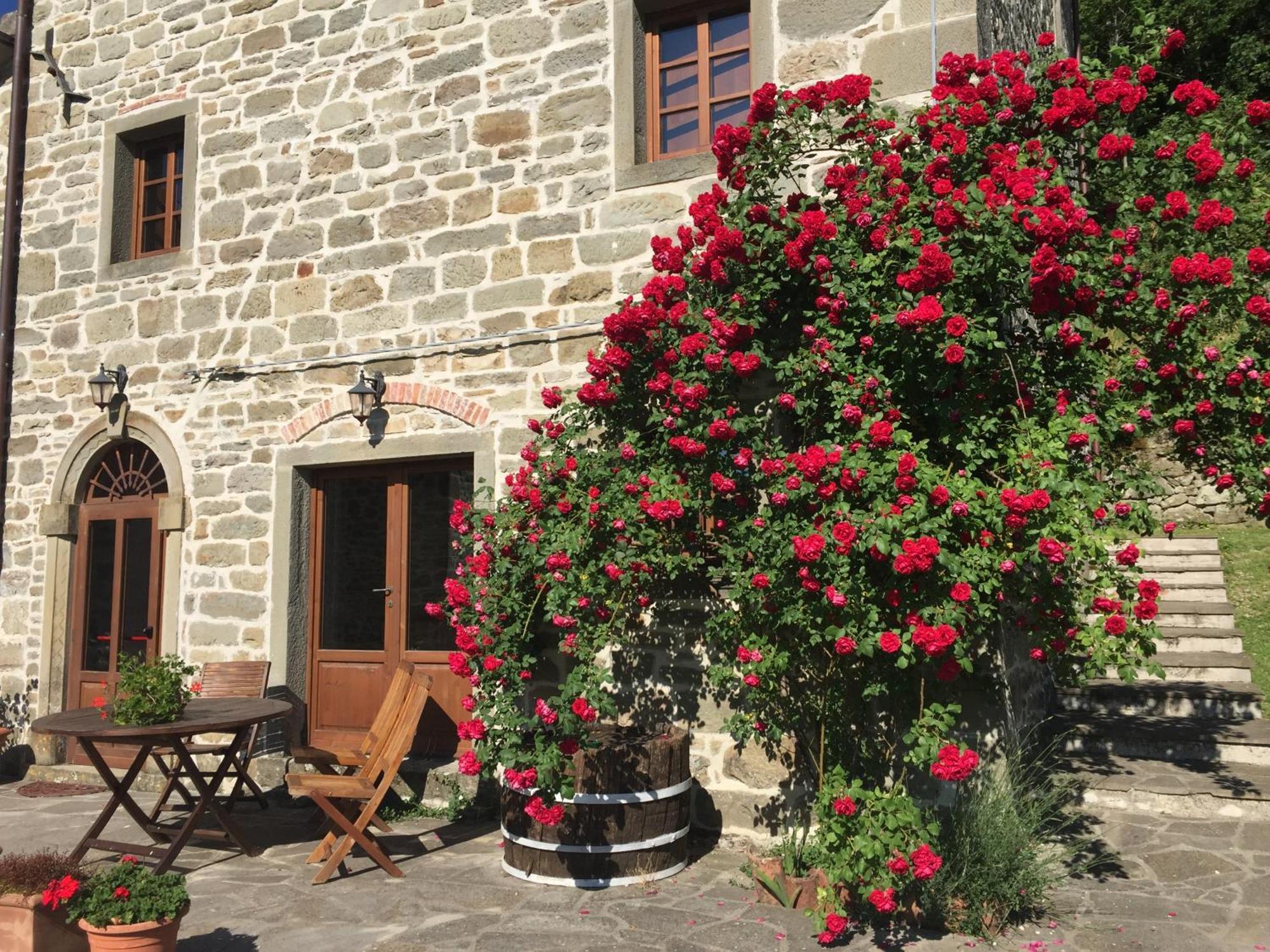 Caprese Michelangelo Bio Agriturismo Il Vigno מראה חיצוני תמונה