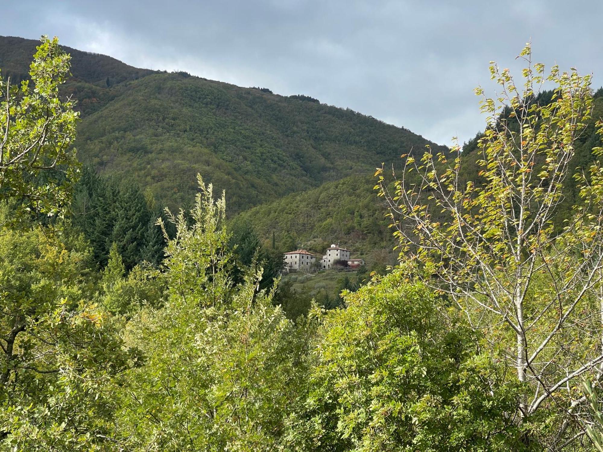 Caprese Michelangelo Bio Agriturismo Il Vigno מראה חיצוני תמונה