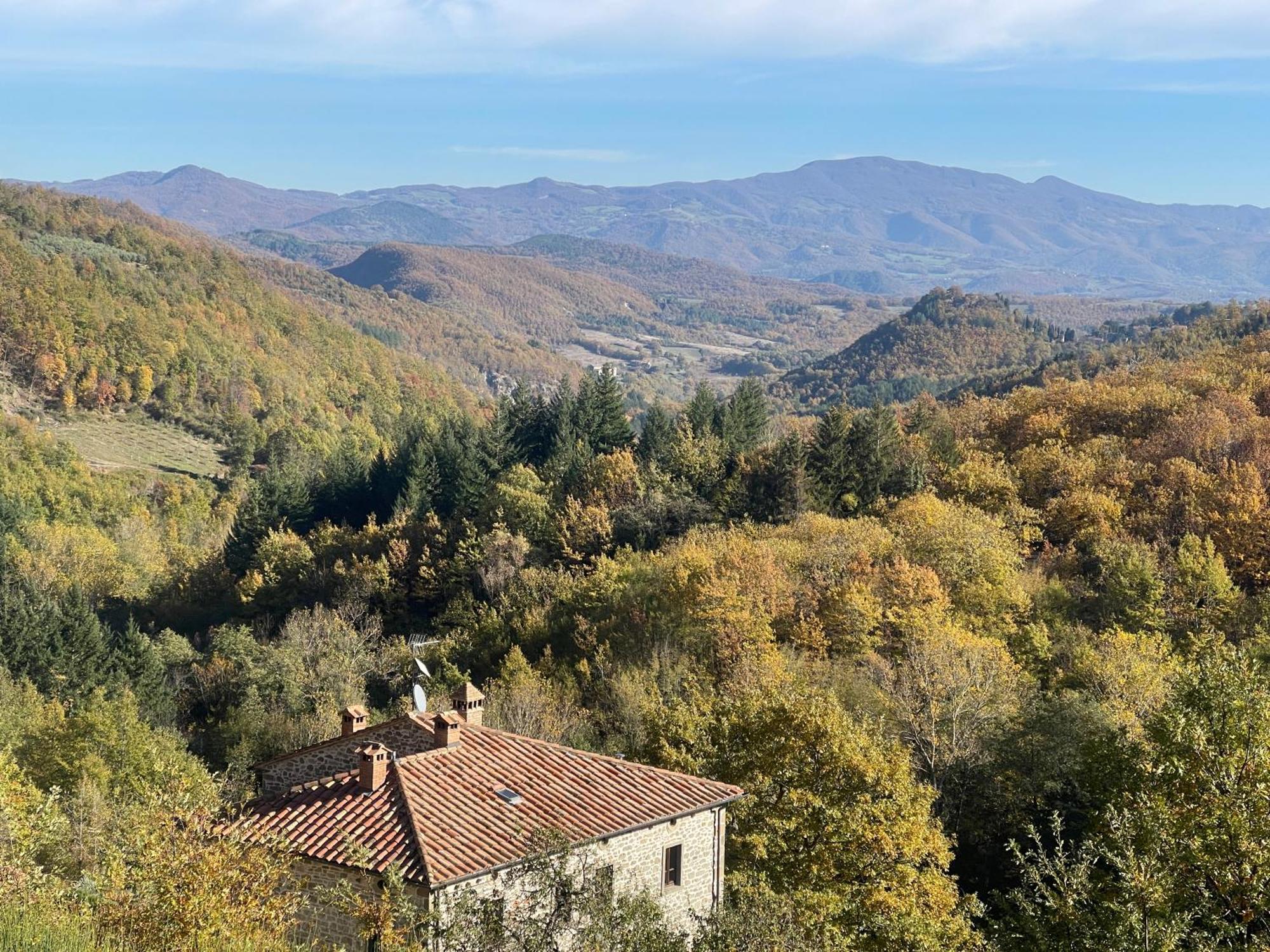 Caprese Michelangelo Bio Agriturismo Il Vigno מראה חיצוני תמונה