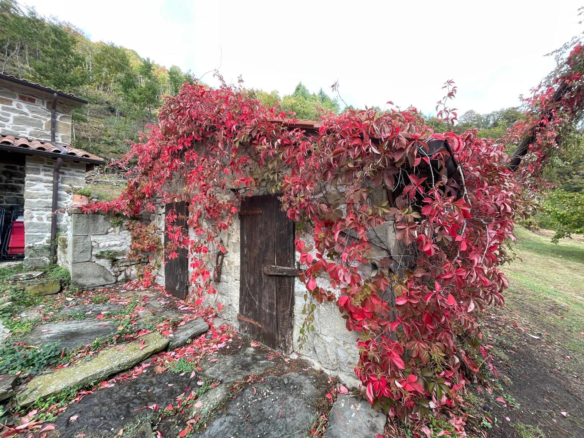 Caprese Michelangelo Bio Agriturismo Il Vigno מראה חיצוני תמונה